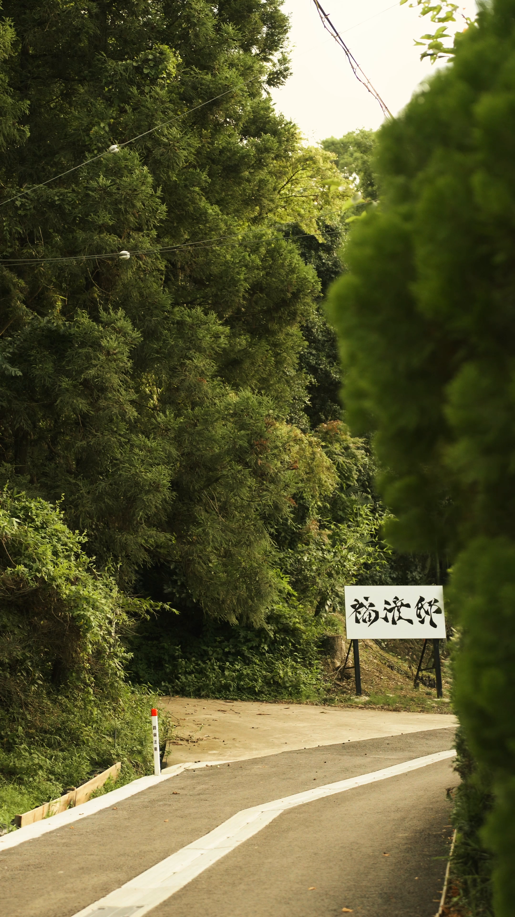The chauffeur vehicle travelling along the tree-lined driveway at Fukuwatari